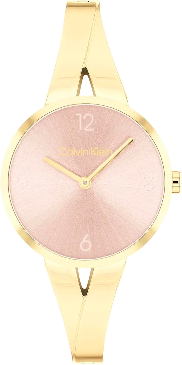 

Наручные часы женские Calvin Klein 25100027, 25100027