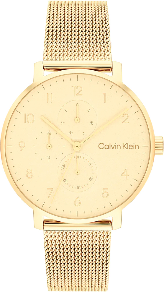 Наручные часы мужские Calvin Klein 25200403