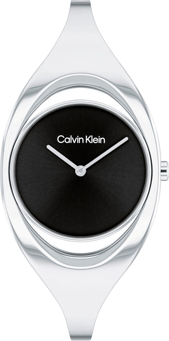 Наручные часы женские Calvin Klein 25200392