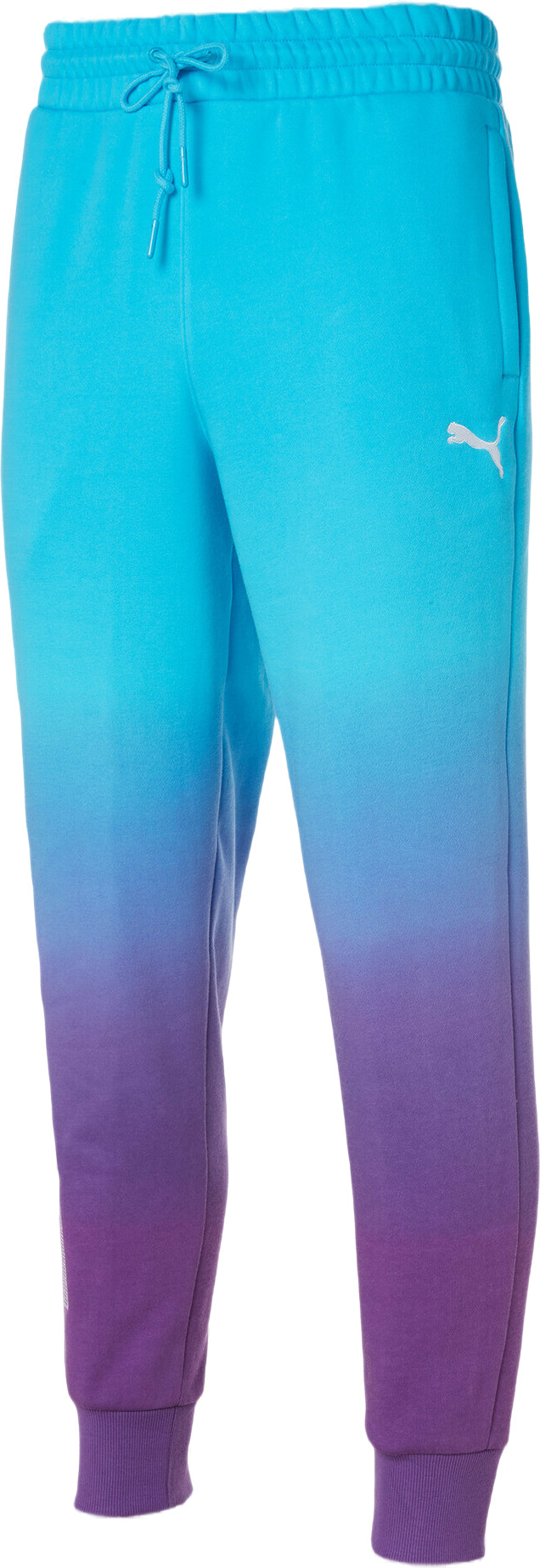 

Спортивные брюки мужские PUMA One Of One Pants фиолетовые M, Фиолетовый, One Of One Pants