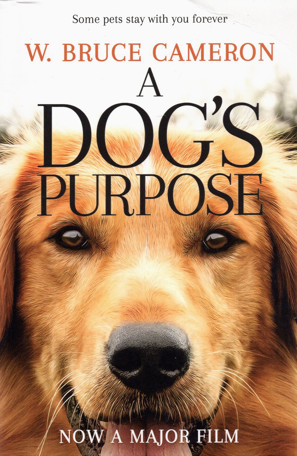 

A Dog's Purpose