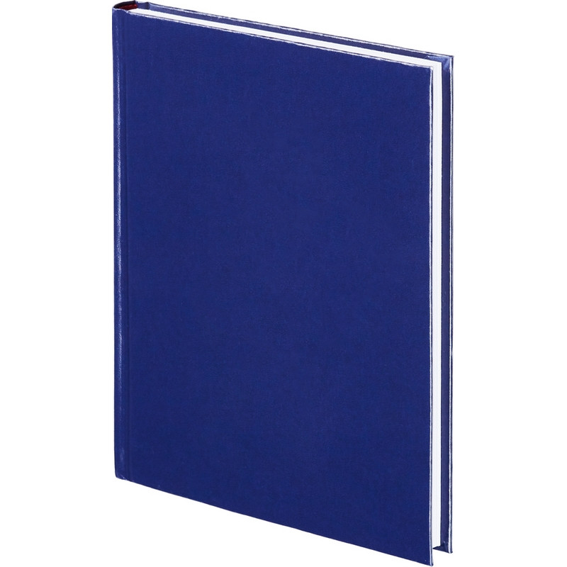 

Ежедневник недатированный Attache 156399 A5