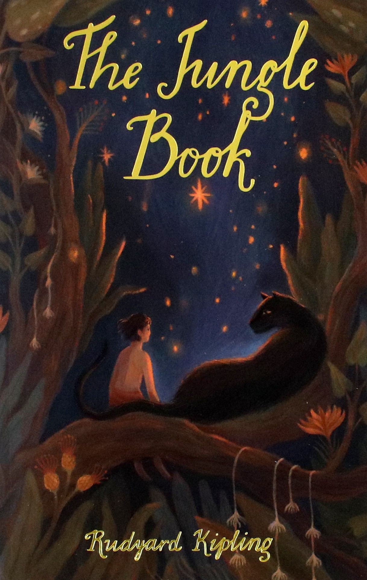 

The Jungle Book The Second Jungle Book