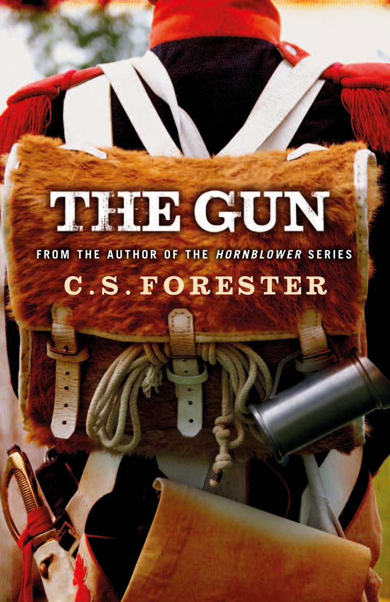 

The Gun
