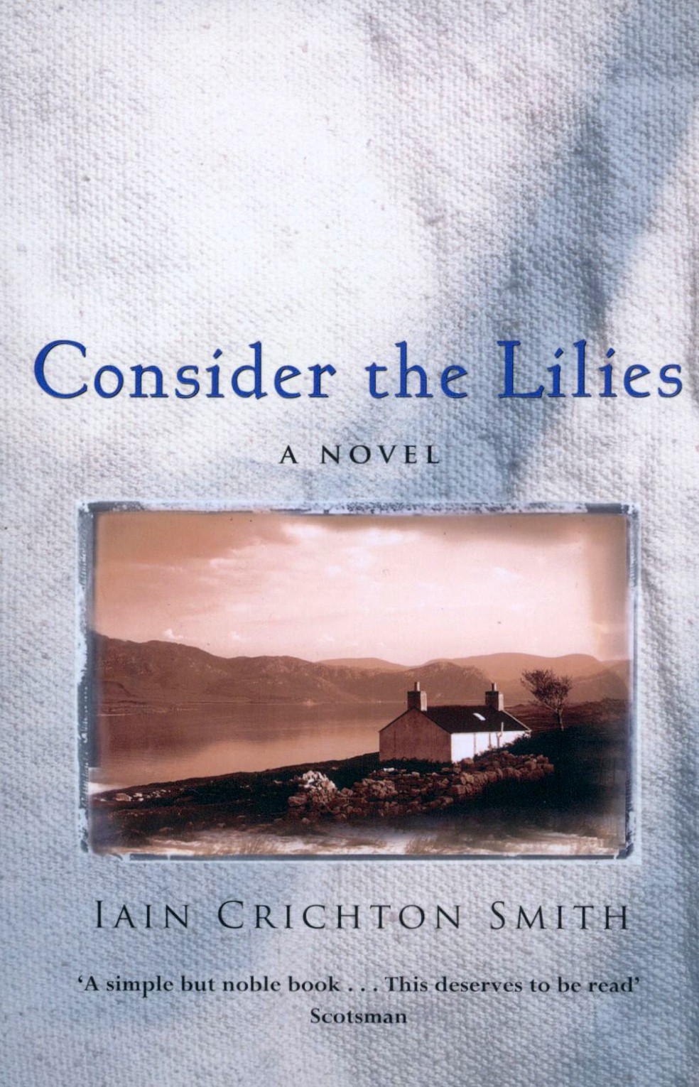 

Consider the Lilies