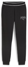 Спортивные брюки мужские PUMA PUMA SQUAD Sweatpants TR cl черные XS