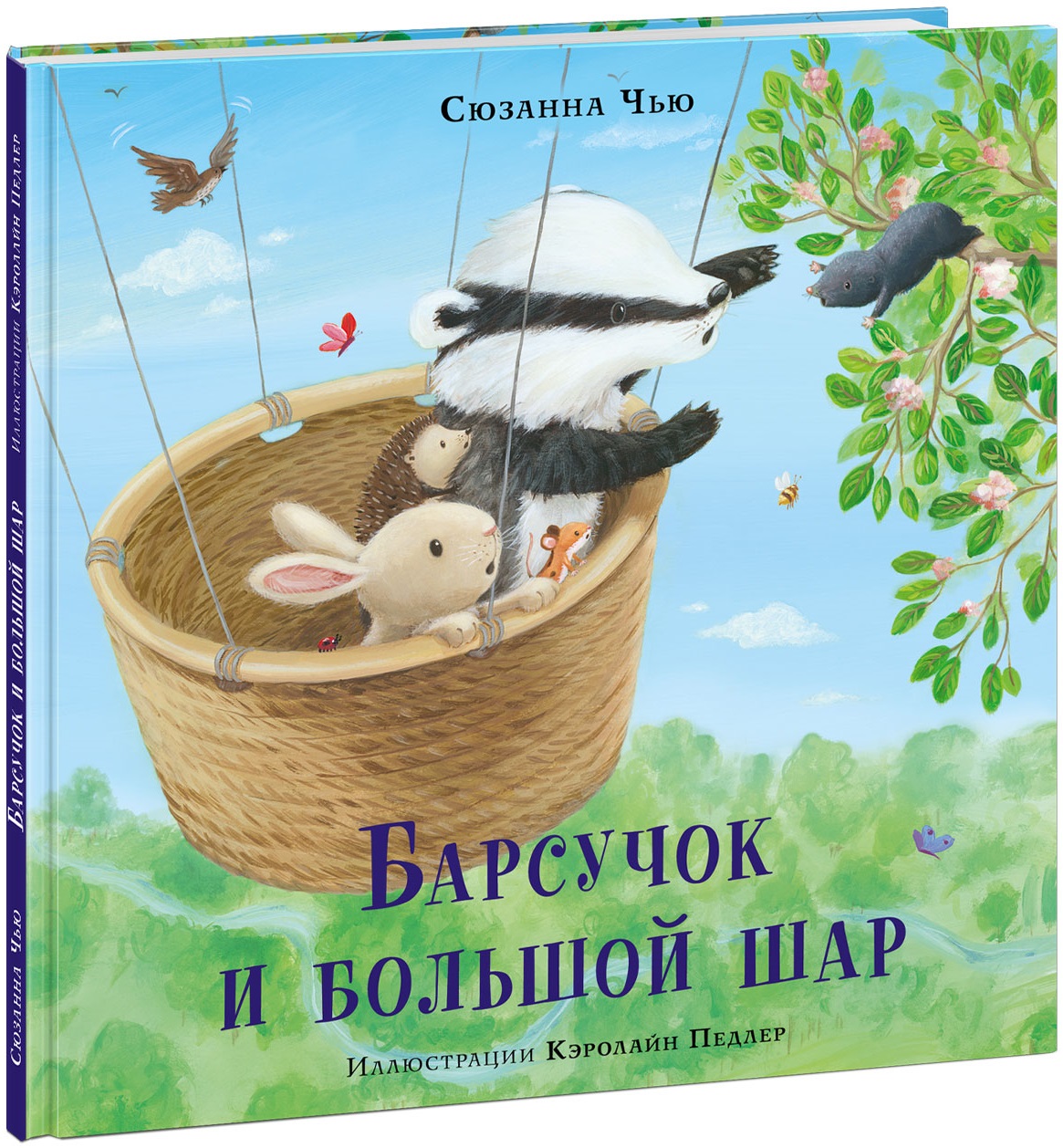 

Барсучок и большой шар