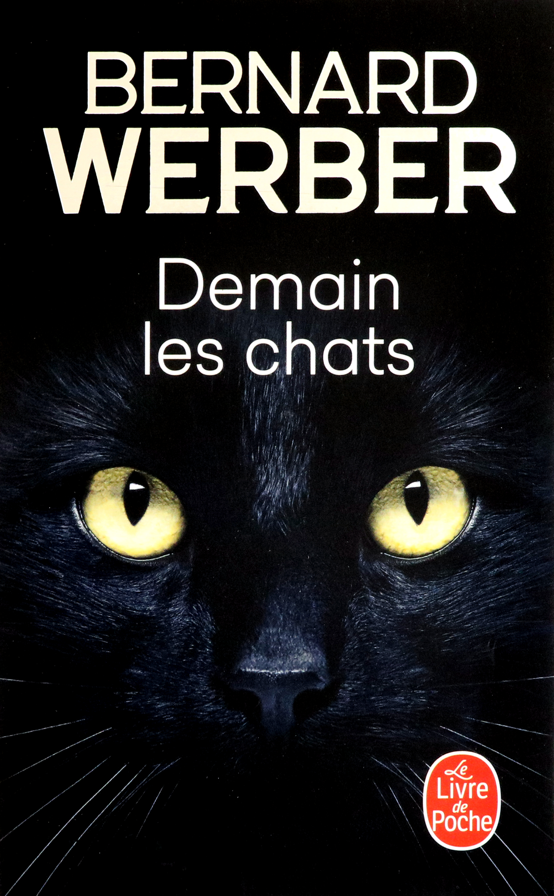 

Demain les chats