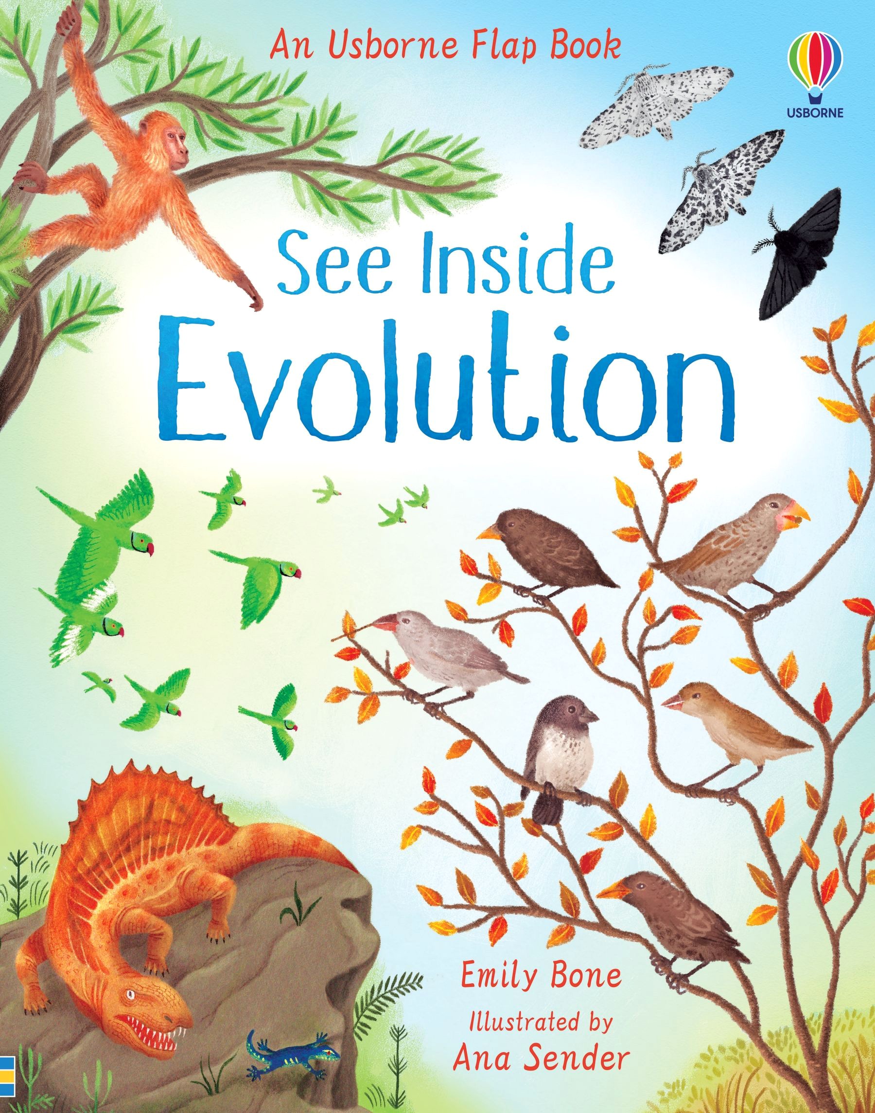 

See Inside Evolution