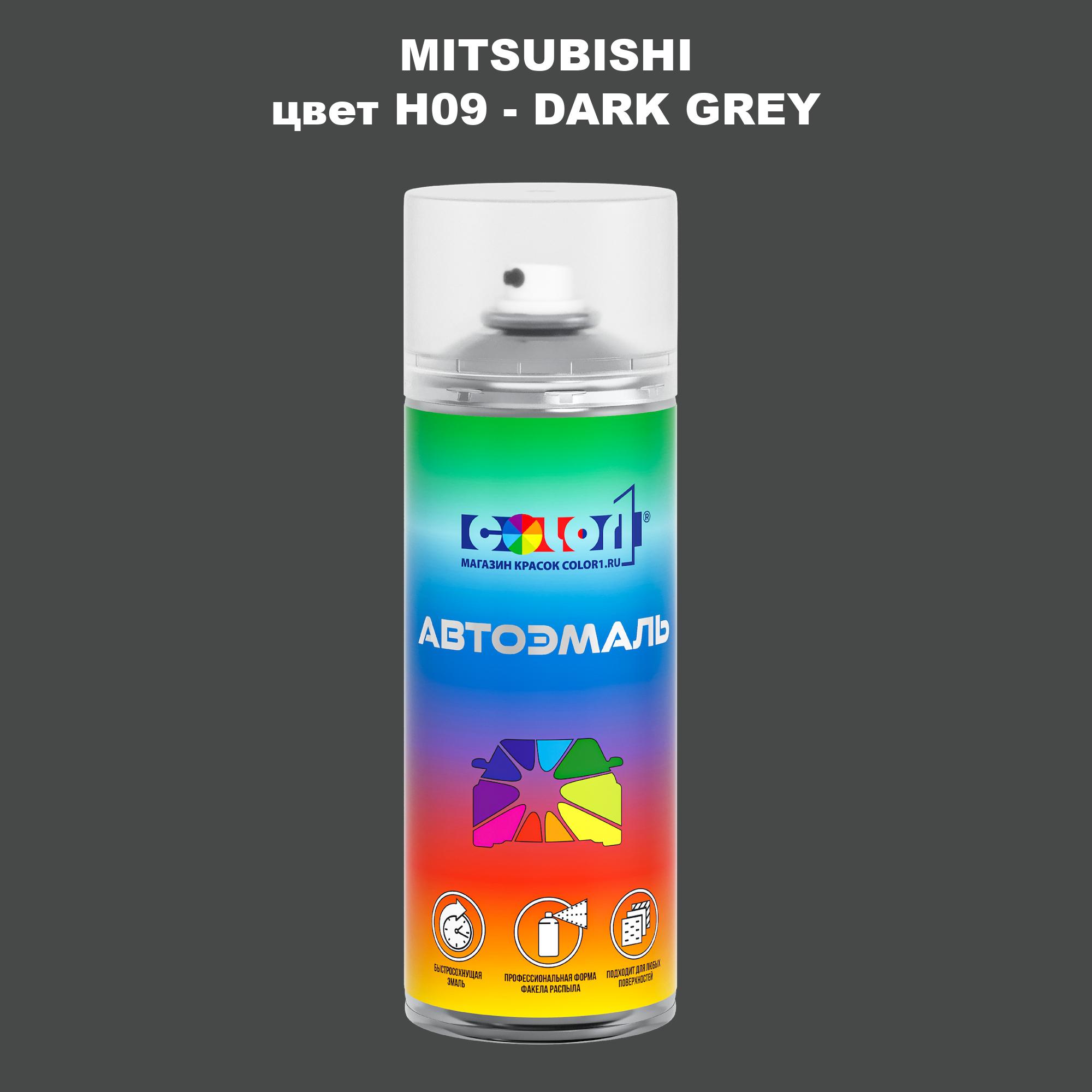 

Аэрозольная краска COLOR1 для MITSUBISHI, цвет H09 - DARK GREY, Прозрачный