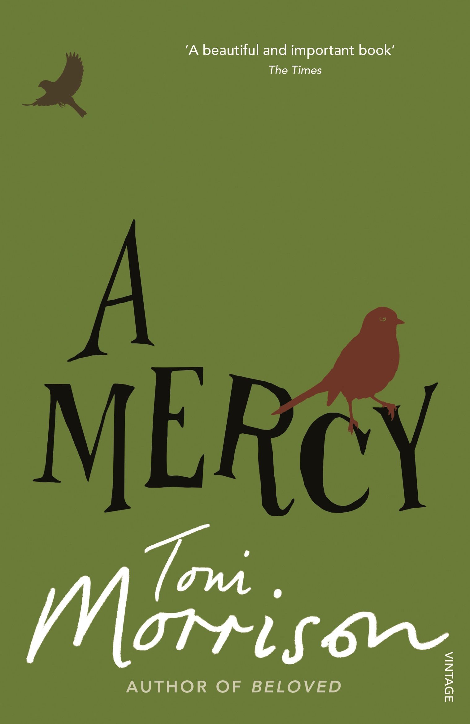 

A Mercy