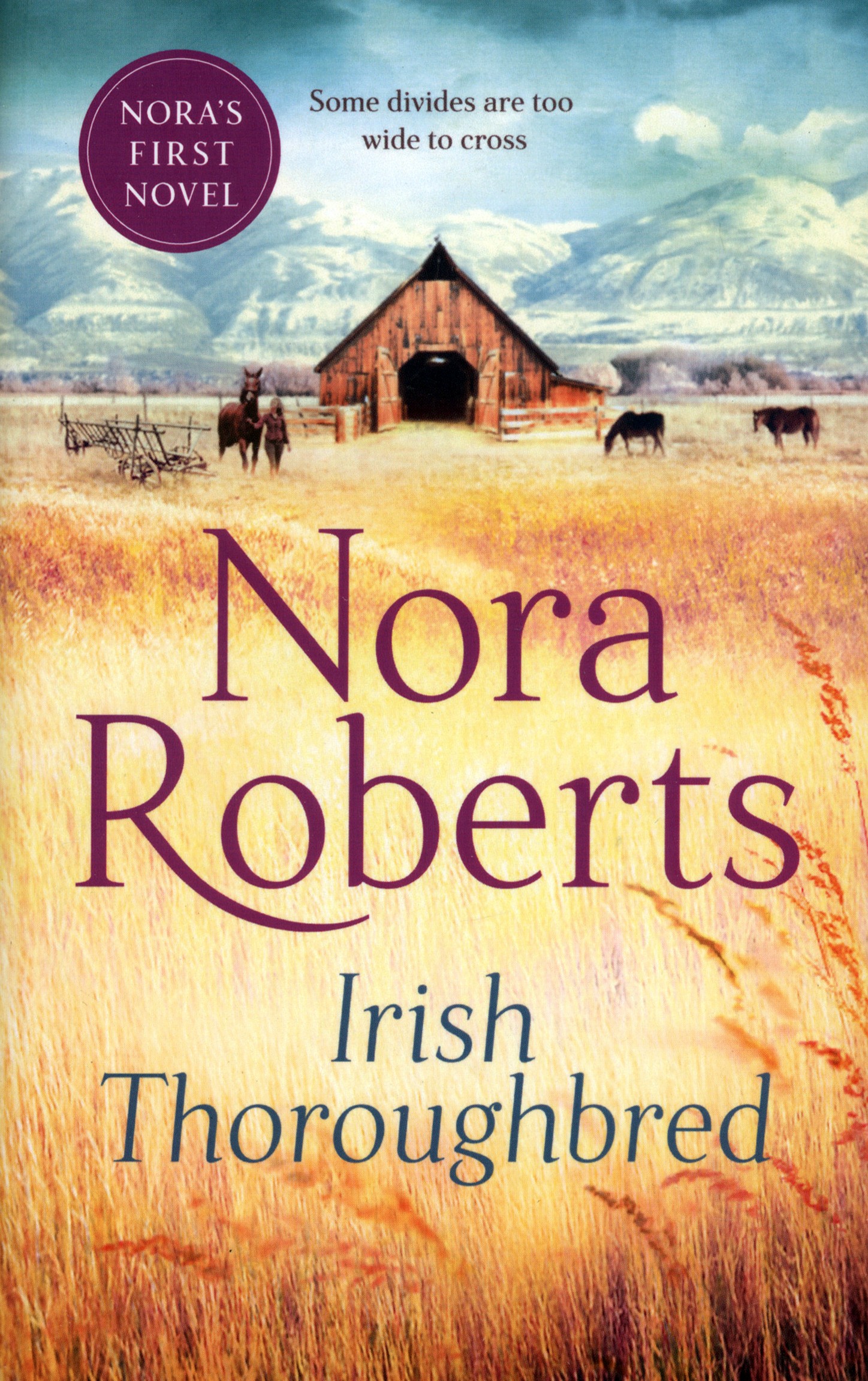 

Irish Thoroughbred