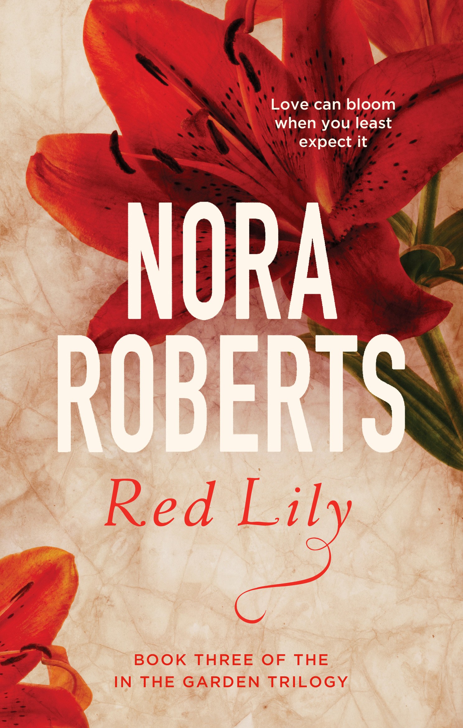 

Red Lily
