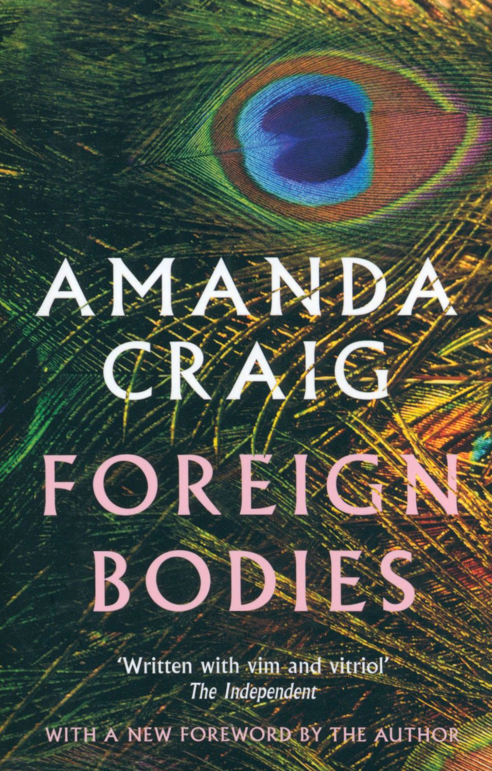 

Foreign Bodies