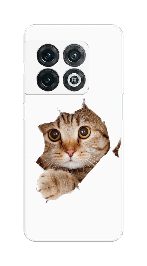 

Чехол на OnePlus 10 Pro 5G "Кот и бумага", Белый;коричневый, 152150-1