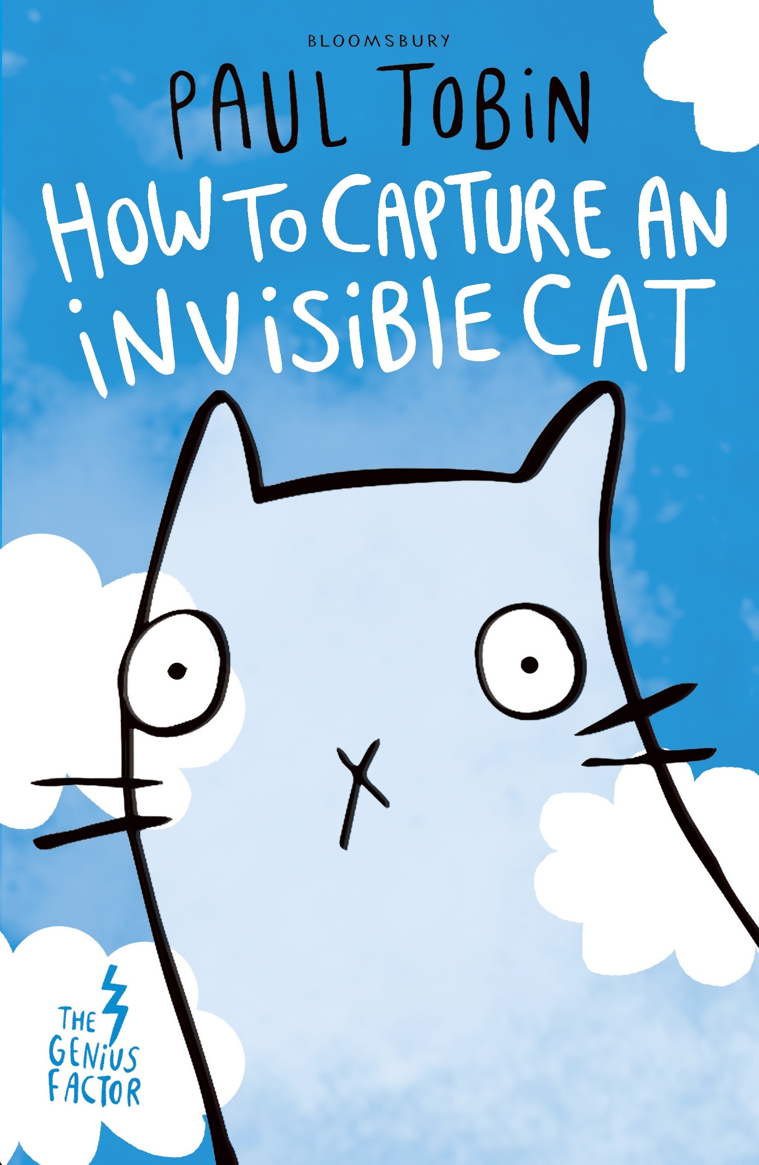 

How to Capture an Invisible Cat