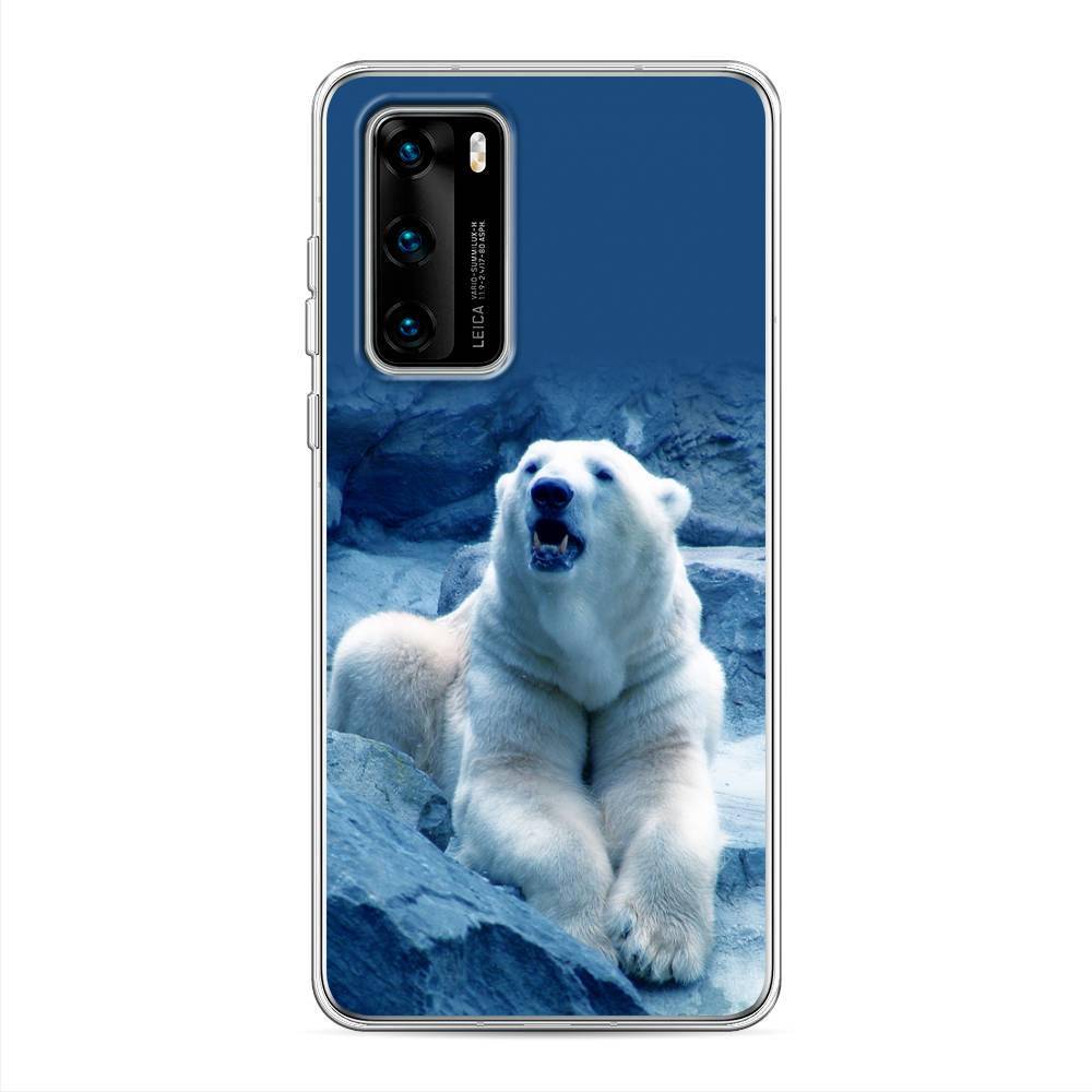 

Чехол на Huawei P40 "Белый медведь", Голубой;белый, 610850-1