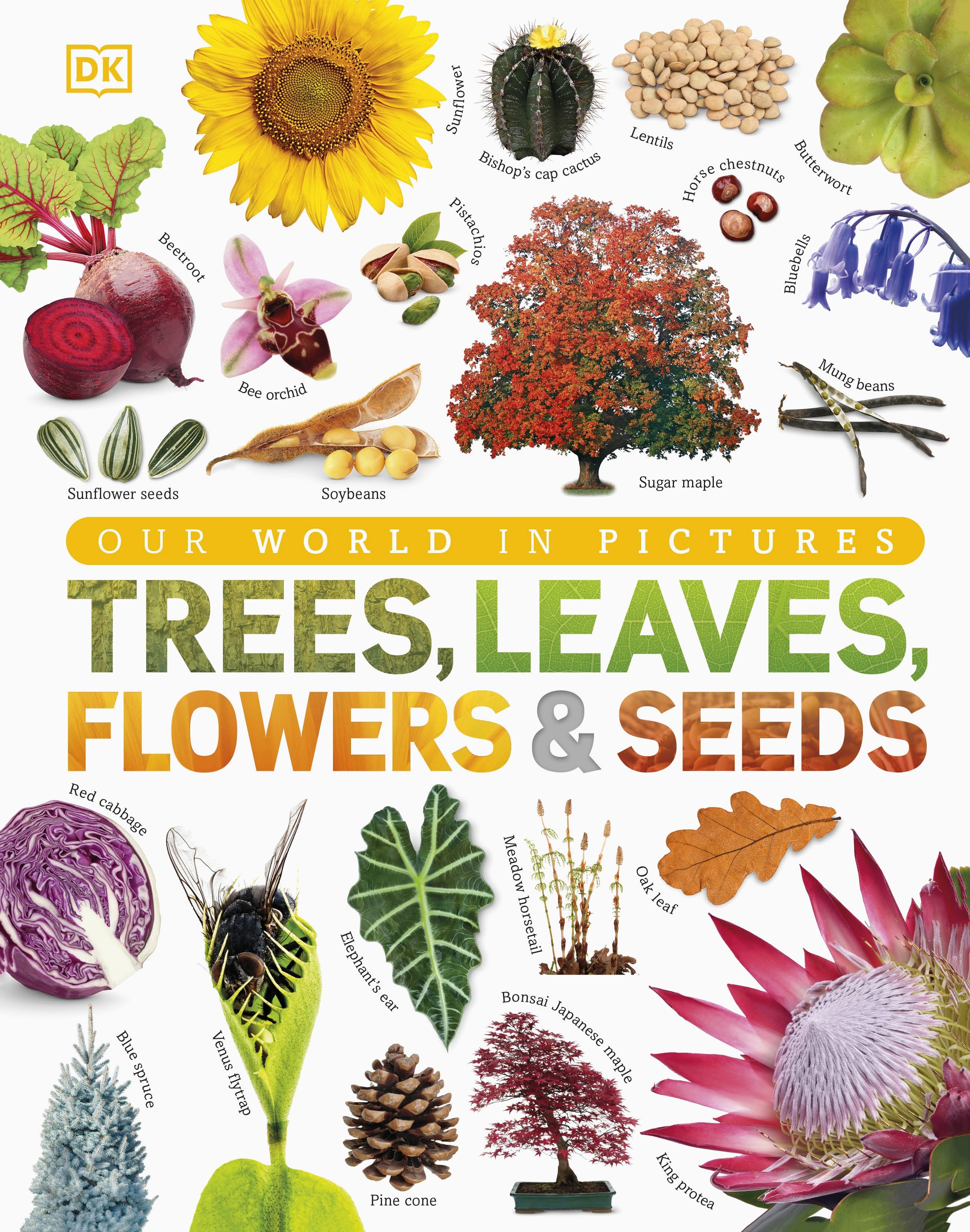 

Trees, Leaves, Flowers and Seeds