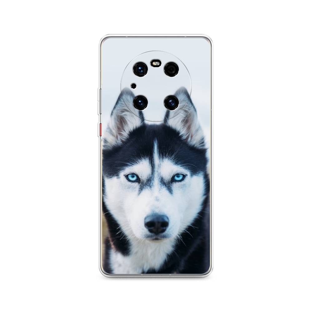 

Чехол на Huawei Mate 40 Pro "Хаски 2", Синий;белый, 6104450-1