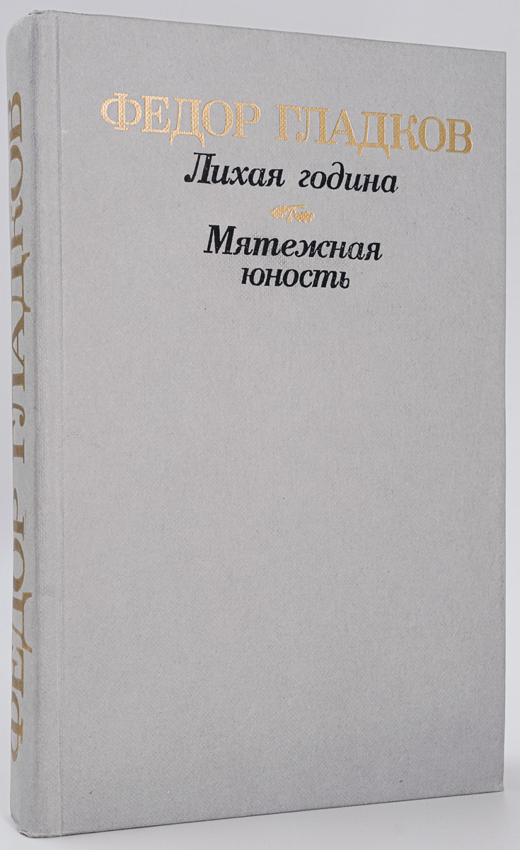 

Лихая година. Мятежная юность