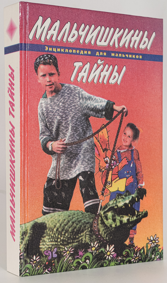 

Книга Мальчишкины тайны