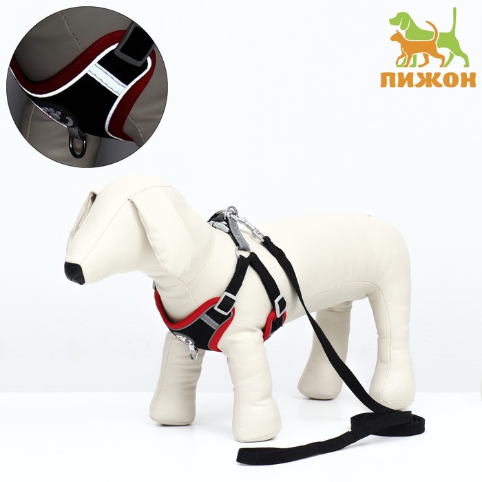 

Комплект амуниции Пижон Sport+, L, поводок 120х1,5 см, ОШ 49-56 ОГ 56-68 см, вес 20-28 кг