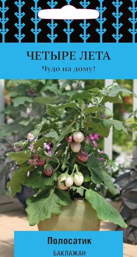 

Семена баклажан Полосатик (А) Поиск SSS-82984189 1 уп.
