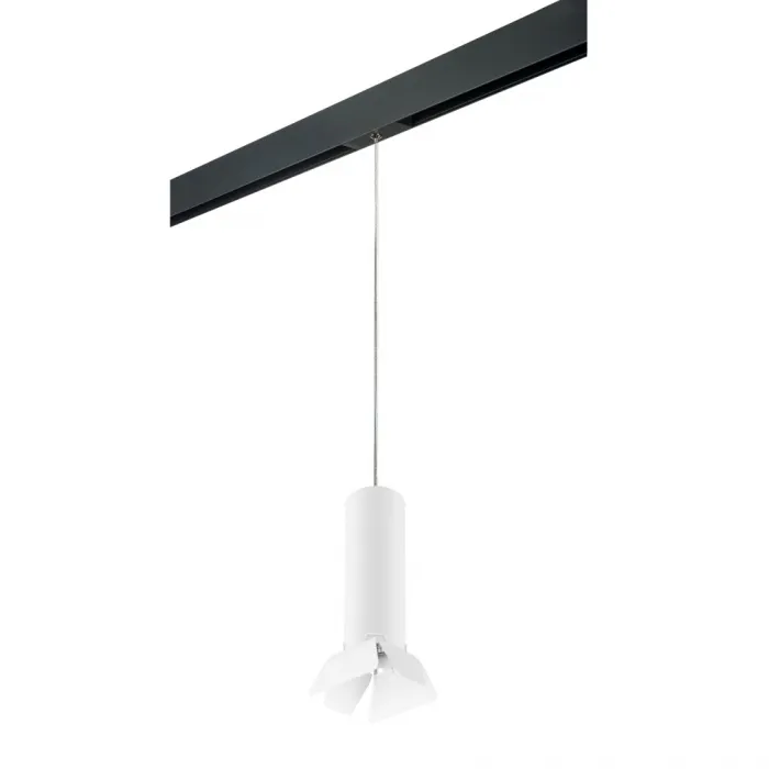 

Подвесной светильник Lightstar Rullo PRORP496436, PRORP496436