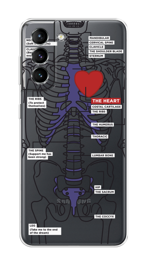 

Чехол на Samsung Galaxy S21 "Скелет человека", Прозрачный;синий;красный, 2101850-1