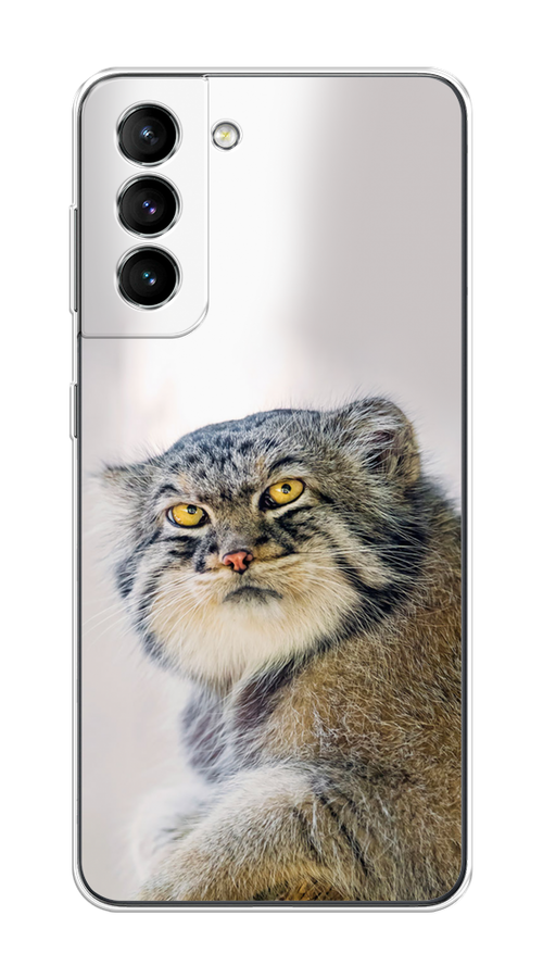 

Чехол на Samsung Galaxy S21 "Кот манул 1", 2101850-1