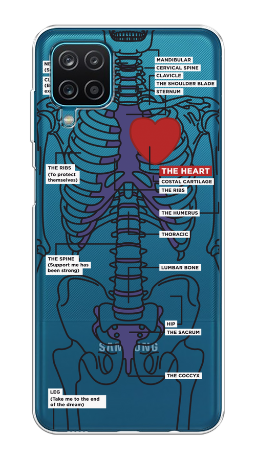 

Чехол на Samsung Galaxy A12/M12 "Скелет человека", Прозрачный;синий;красный, 2101650-1