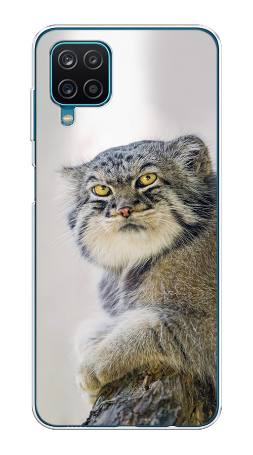 

Чехол на Samsung Galaxy A12/M12 "Кот манул 1", Серый;белый;желтый, 2101650-1