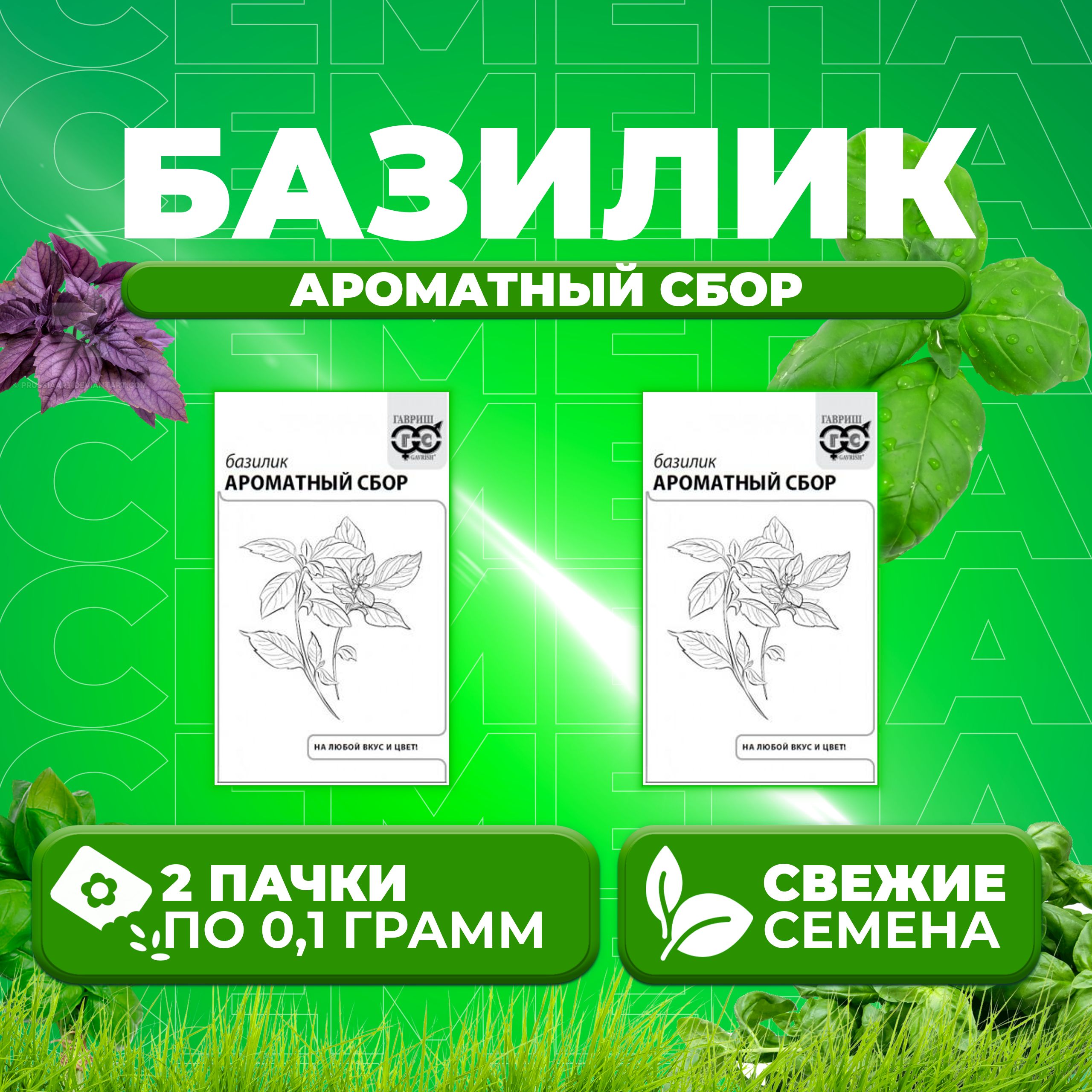 

Семена Базилик Ароматный сбор, смесь, 0,1г, Гавриш, Белые пакеты (2 уп)