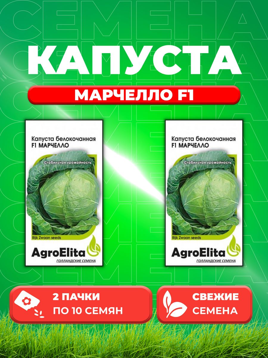 

Семена капуста белокочанная Марчелло F1 AgroElita 1071859527-2 2 уп.