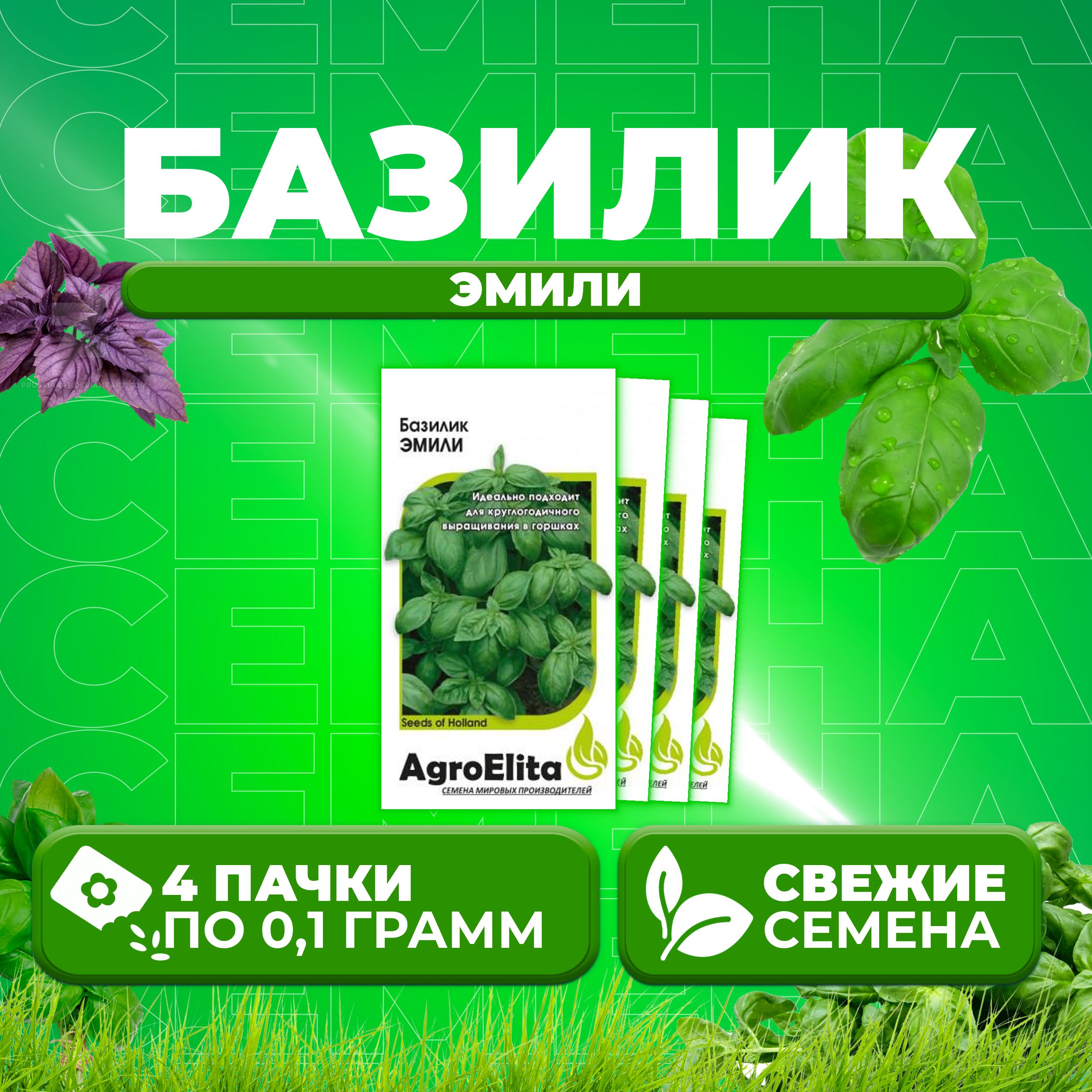 

Семена Базилик Эмили, 0,1г, AgroElita, Enza Zaden (4 уп)