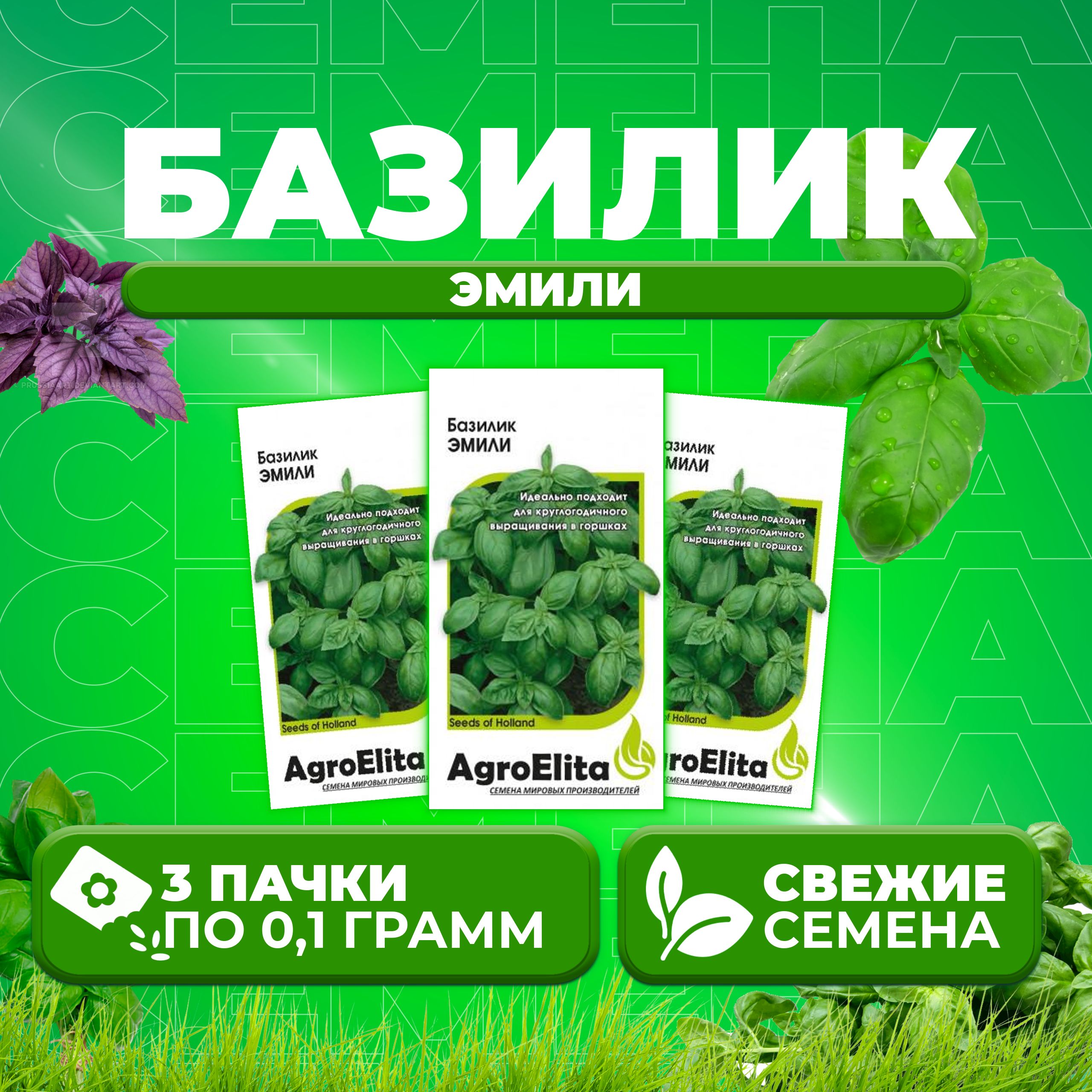 Семена Базилик Эмили, 0,1г, AgroElita, Enza Zaden (3 уп)