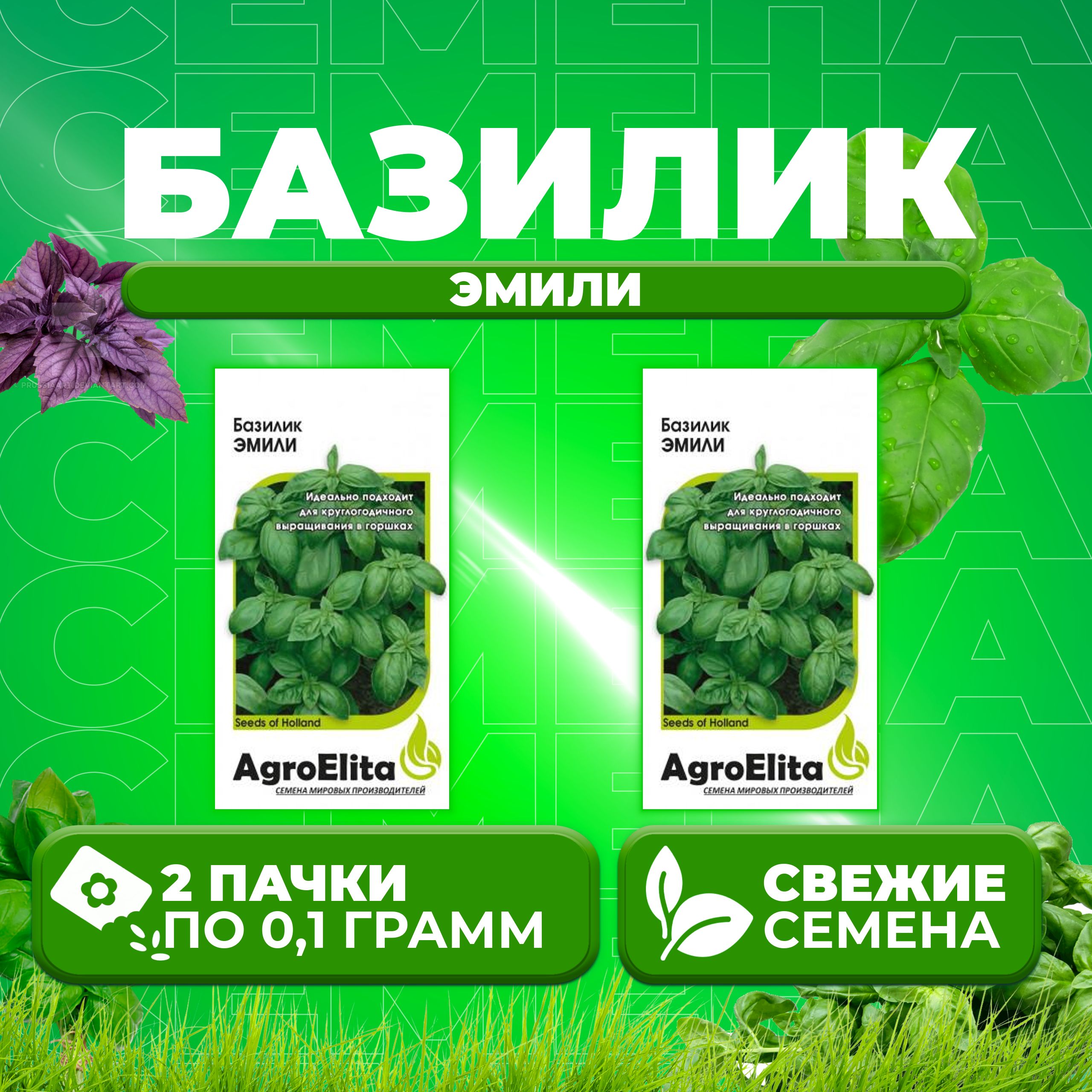 Семена Базилик Эмили, 0,1г, AgroElita, Enza Zaden (2 уп)