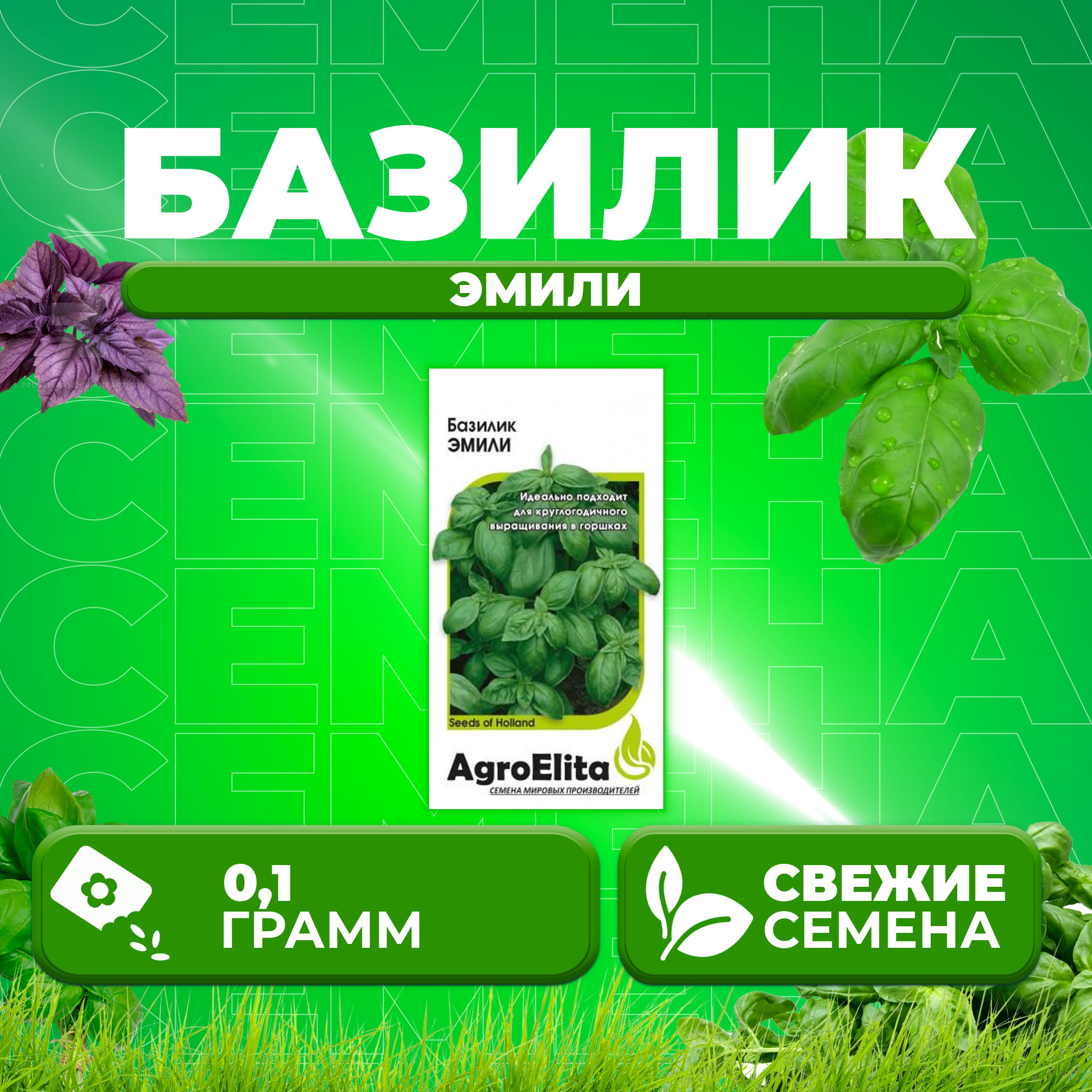 

Семена Базилик Эмили, 0,1г, AgroElita, Enza Zaden (1 уп)