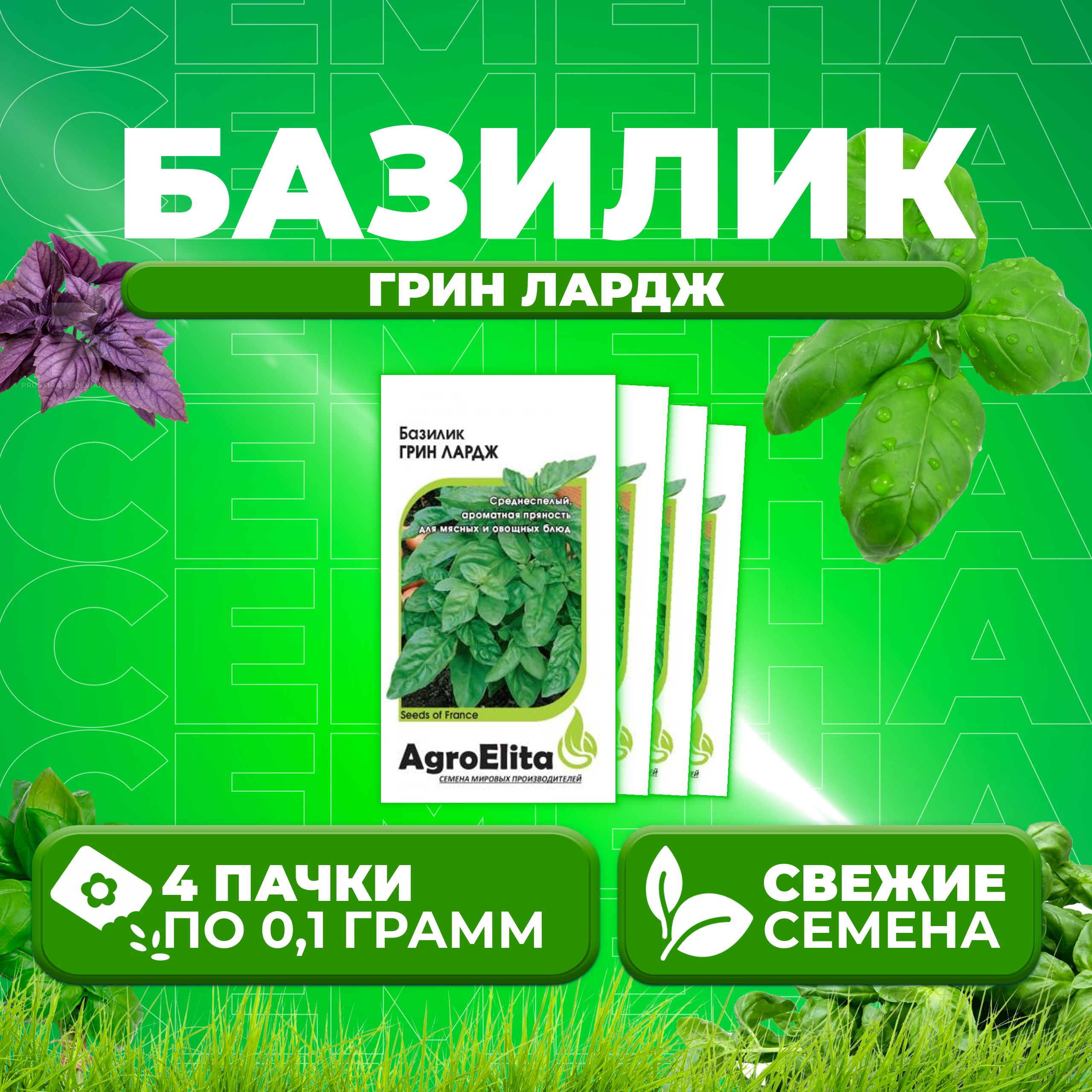 Семена Базилик Грин Лардж 01г AgroElita 4 уп 272₽