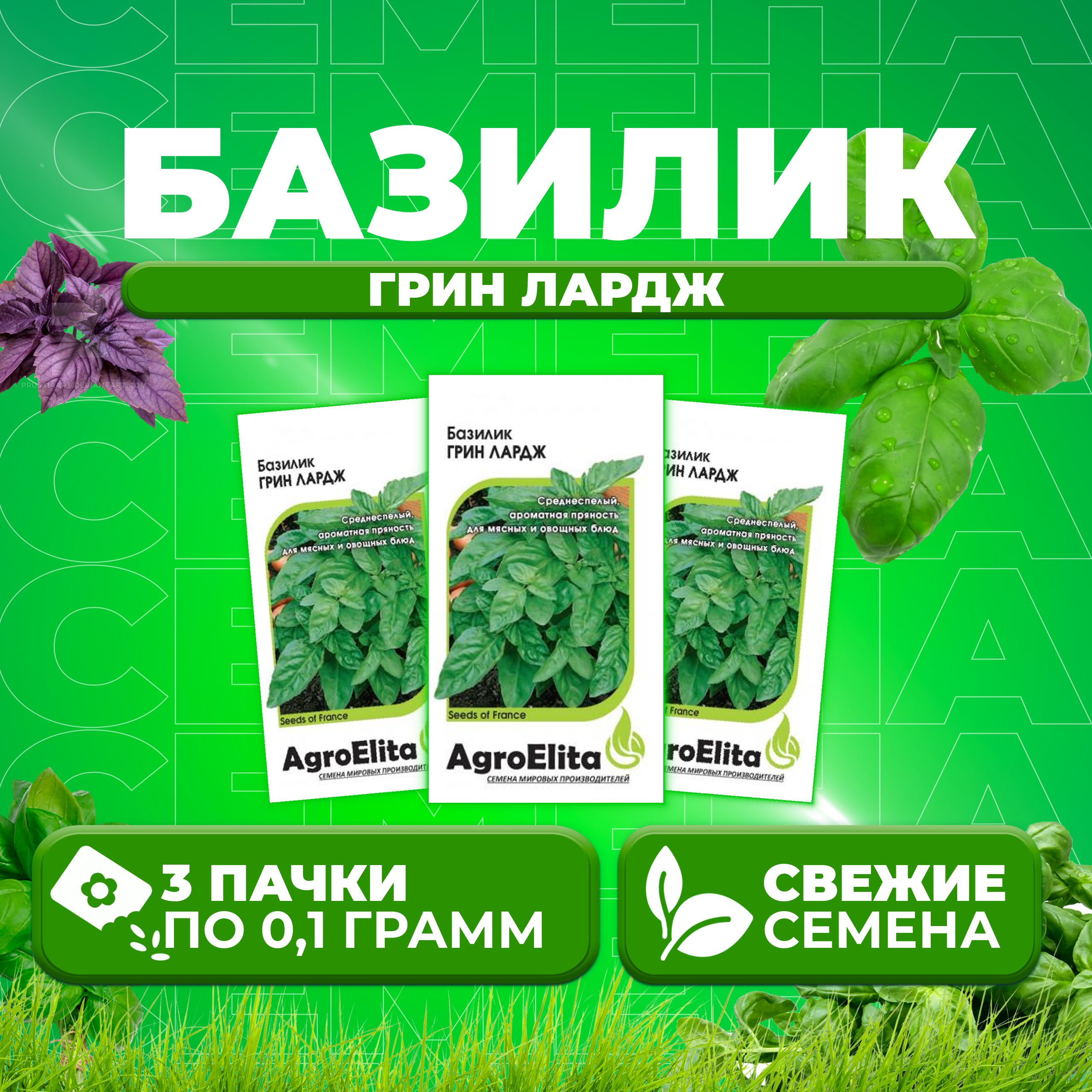 Семена Базилик Грин Лардж 01г AgroElita 3 уп 244₽