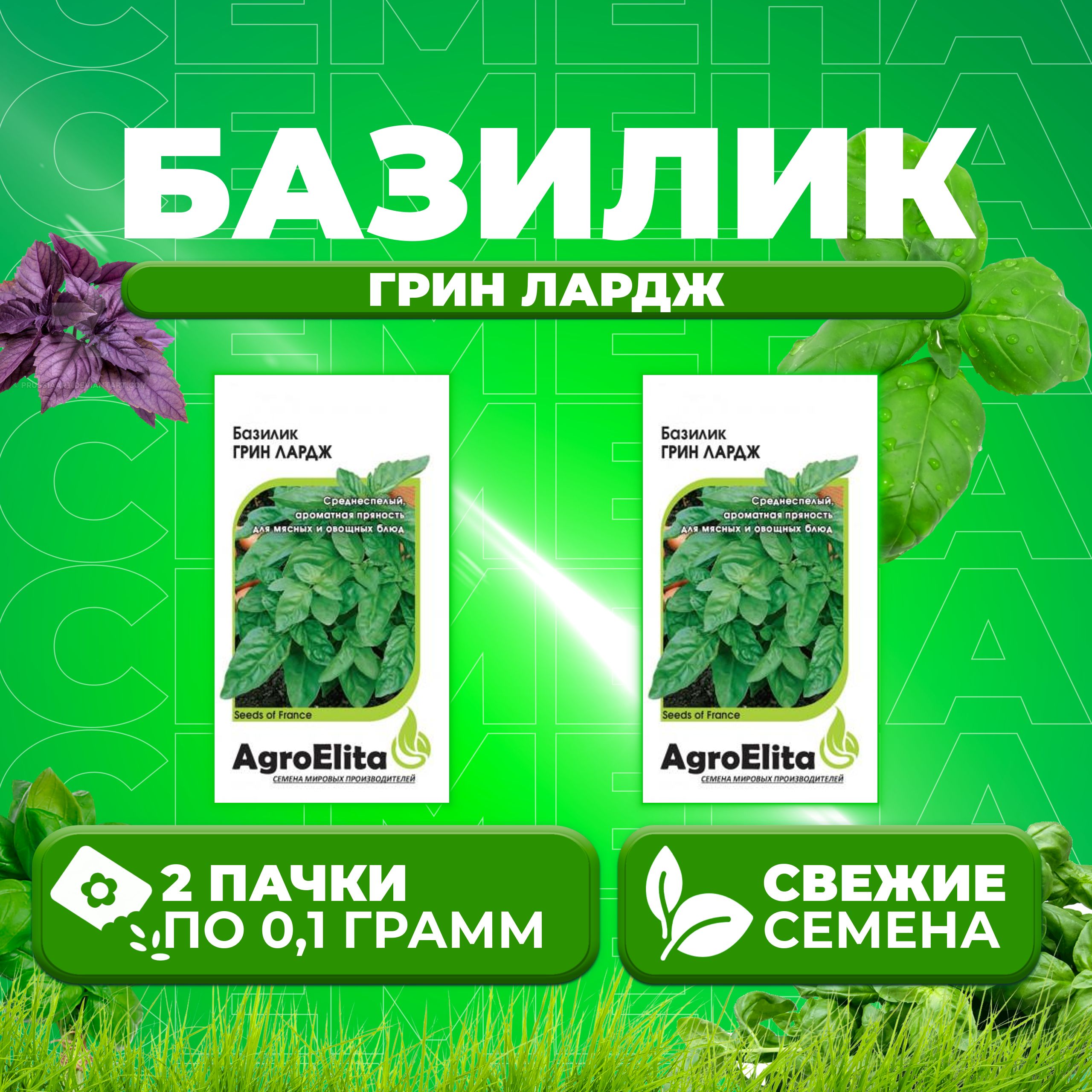 Семена Базилик Грин Лардж 01г AgroElita 2 уп 214₽