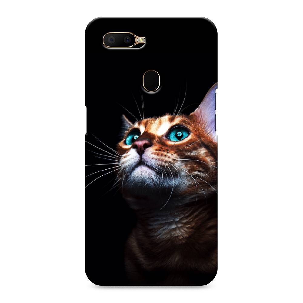 

Пластиковый чехол "Мечтательный кот" на Oppo A5s, 252320-1