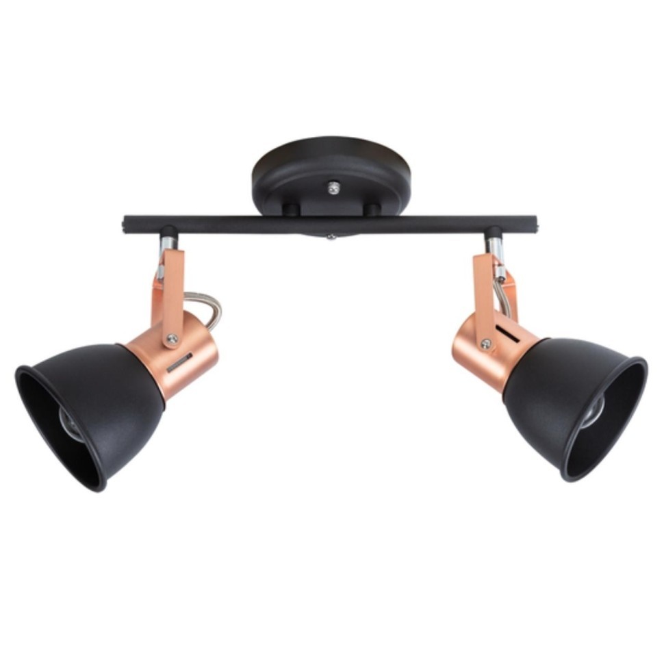 

Спот Arte Lamp A1677PL-2BK e14