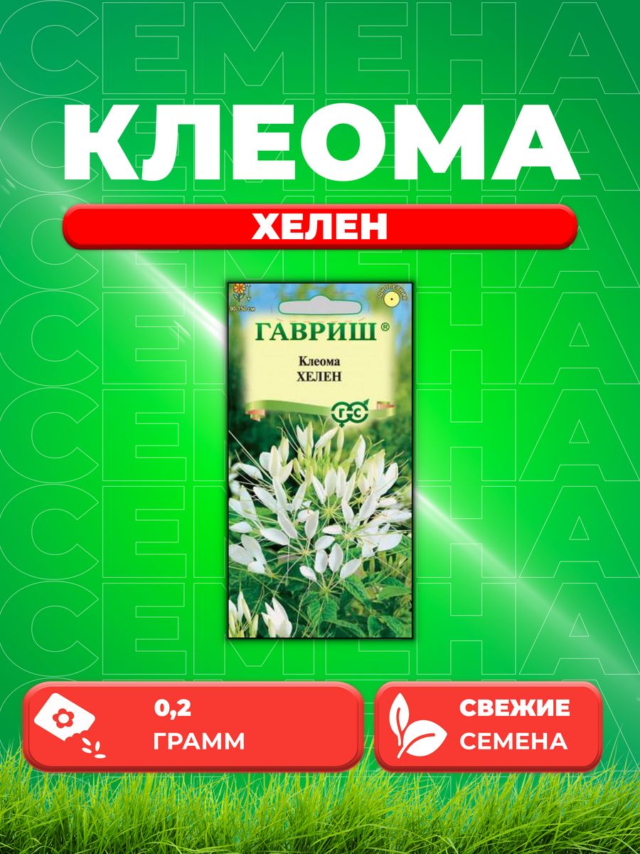

Семена Клеома Хелен, 0,2г, Гавриш, Цветочная коллекция