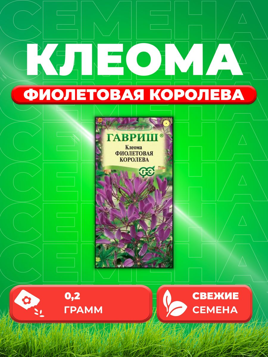 

Семена Клеома Фиолетовая королева, 0,2г, Гавриш