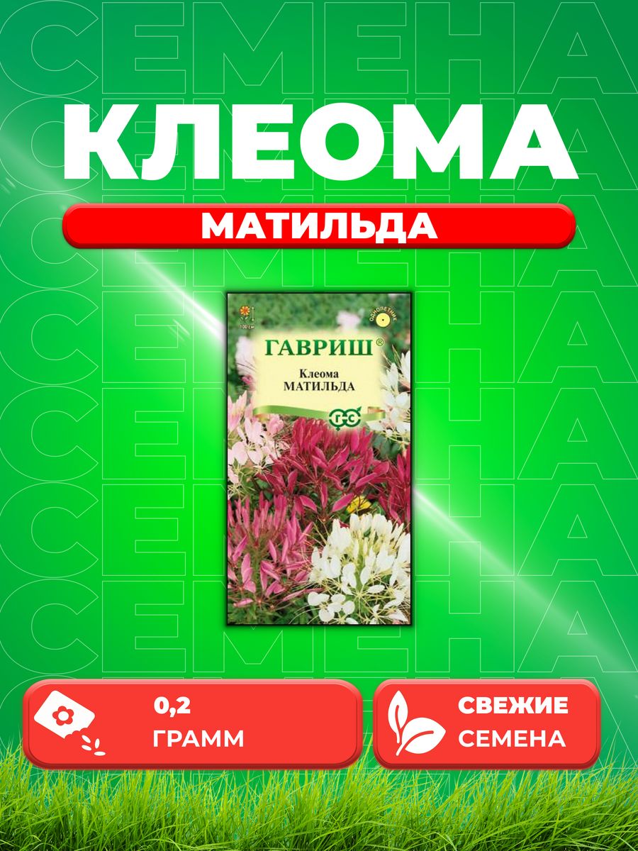 

Семена Клеома Матильда, смесь, 0,2г, Цветочная коллекция