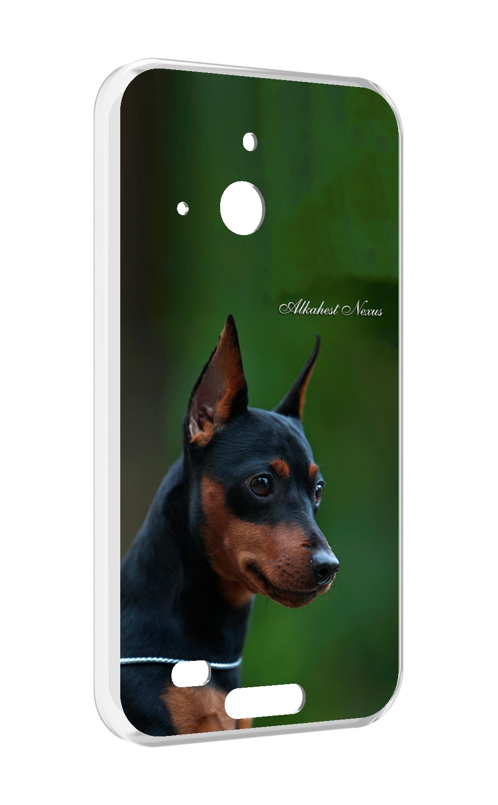 

Чехол MyPads цвергпинчер черпинчер для Oukitel WP20 / WP20 Pro, Прозрачный, Tocco