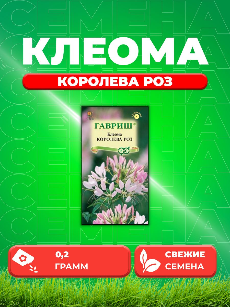 

Семена Клеома Королева роз 0,2г, Гавриш, Цветочная коллекция