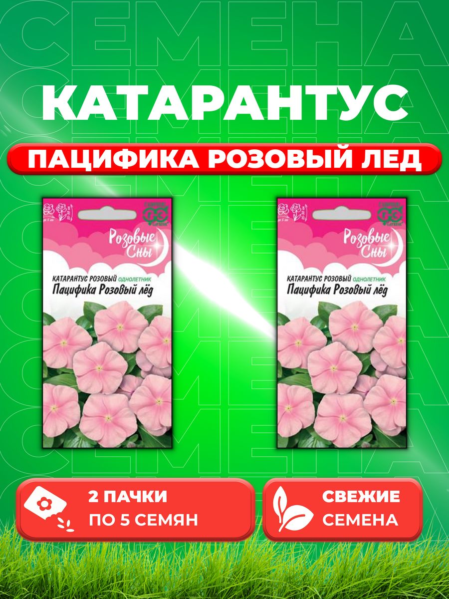 

Семена Катарантус Пацифика Розовый лед, 5шт, Гавриш(2уп)