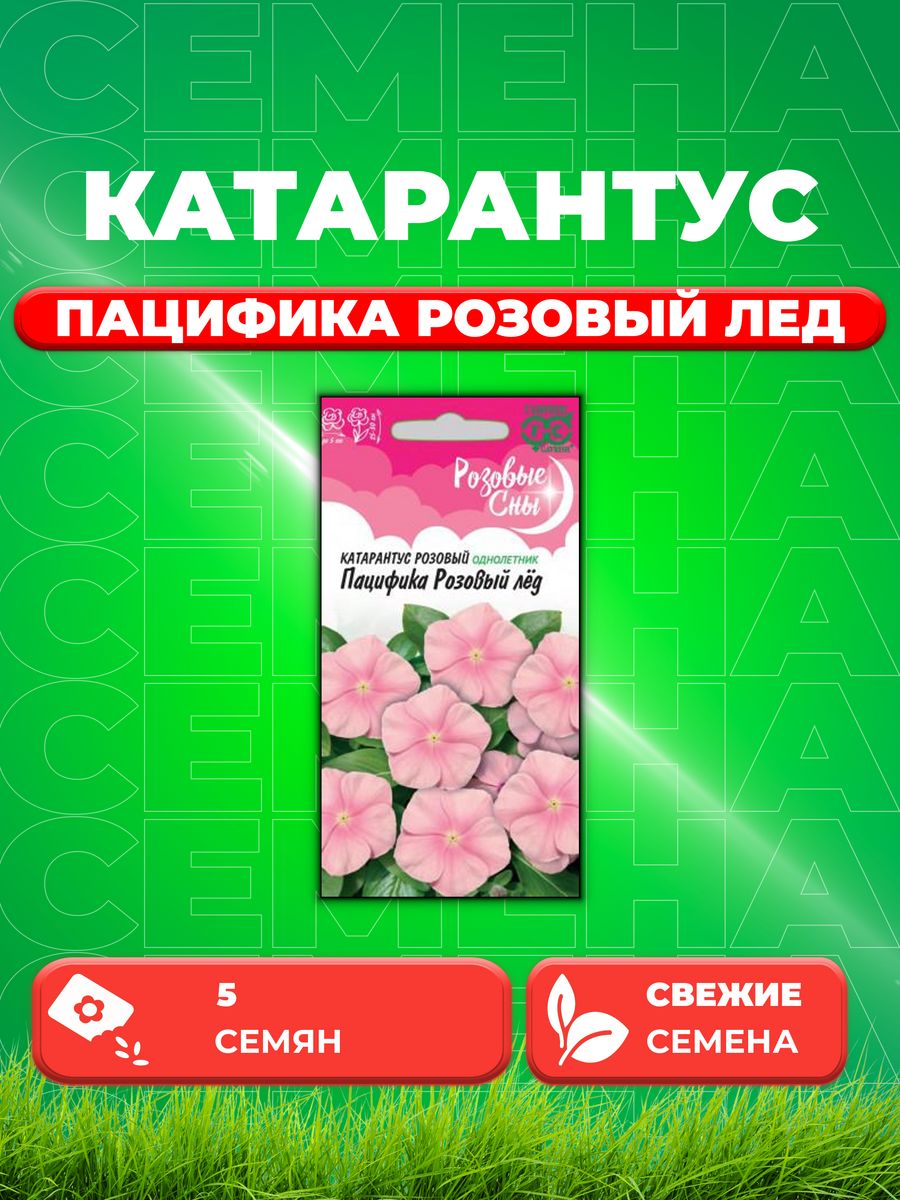 

Семена Катарантус Пацифика Розовый лед, 5шт, Гавриш